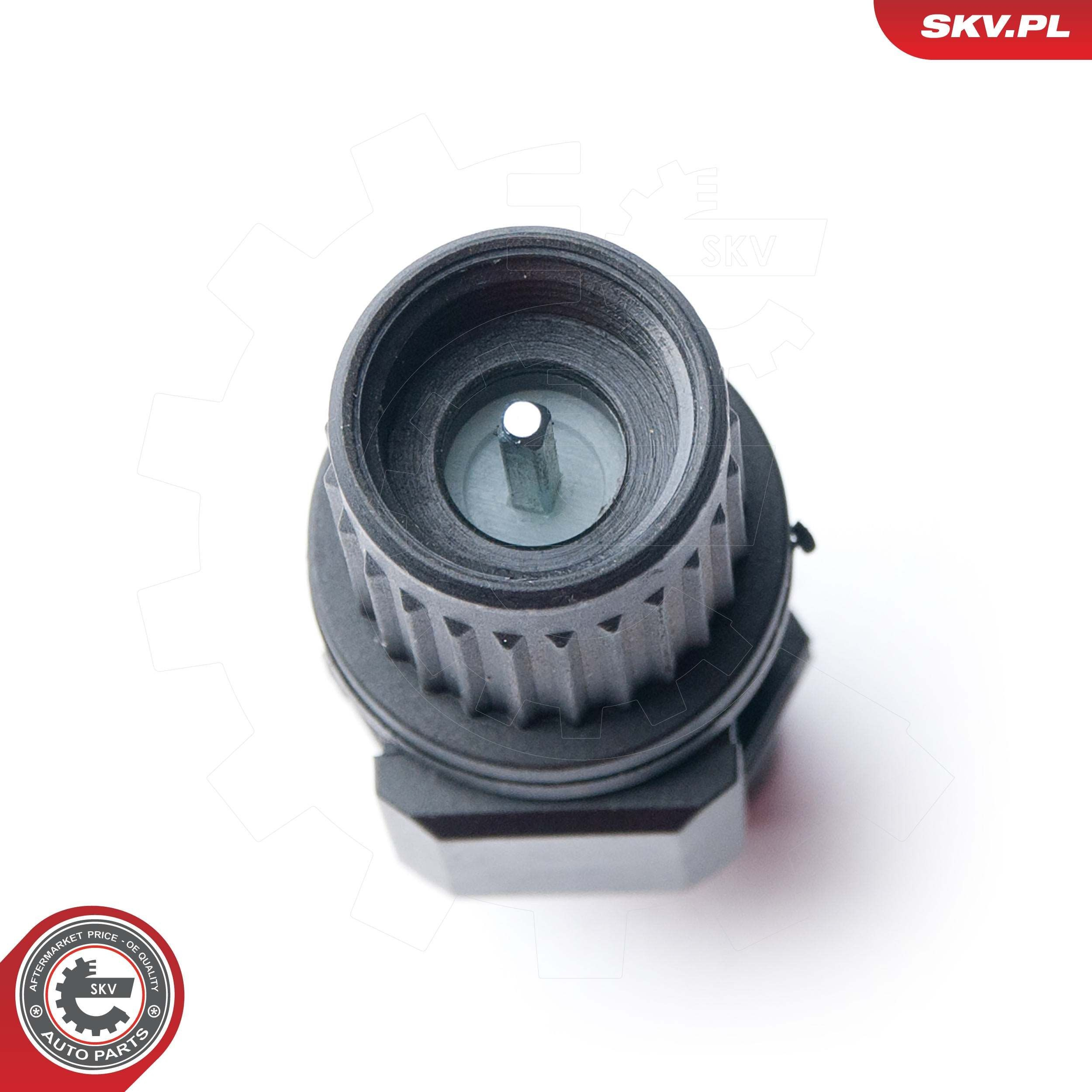 17SKV339 SKV